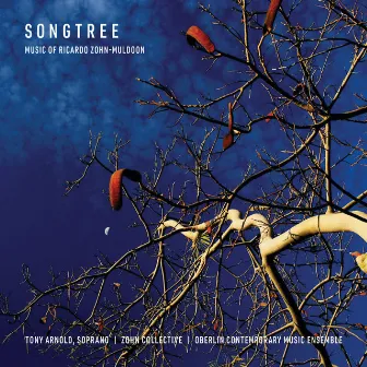 Songtree by Oberlin Contemporary Music Ensemble