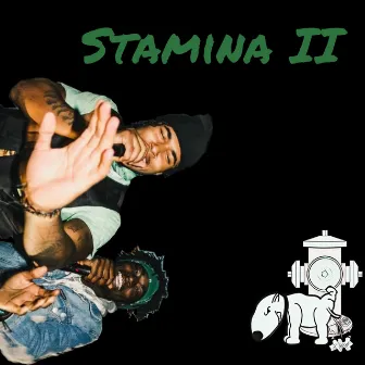 Stamina II by $o Fun