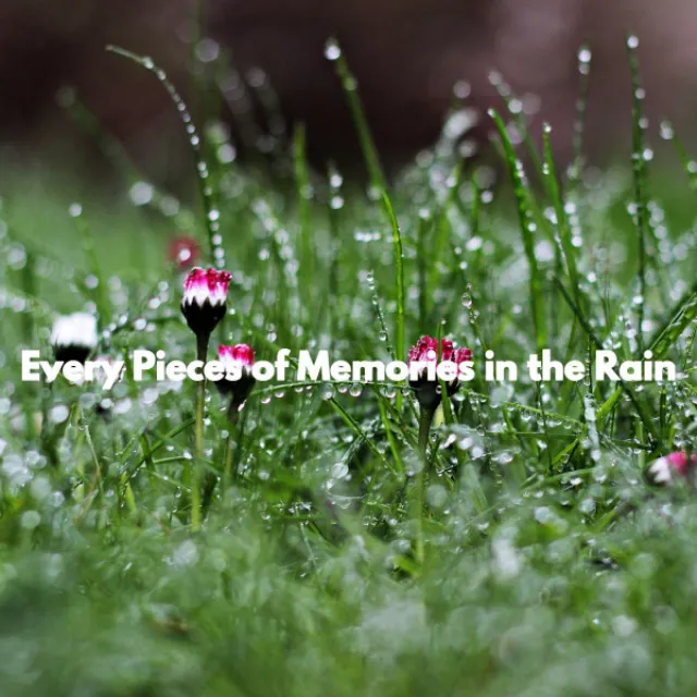 Every Pieces of Memories in the Rain