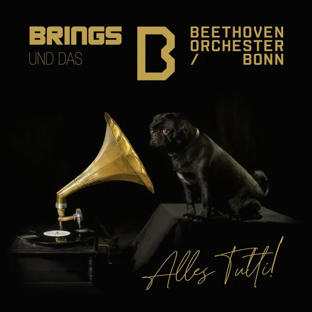 Beethoven Orchester Bonn