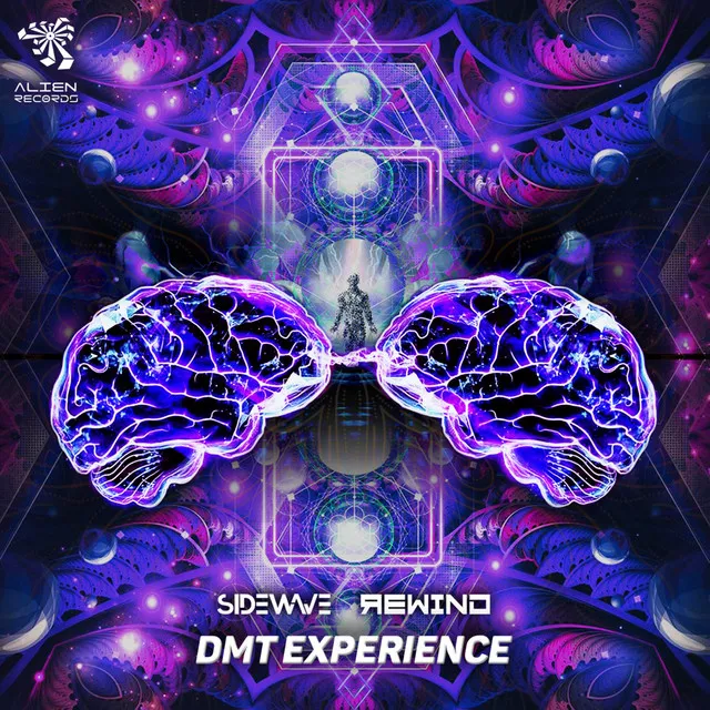 DMT Experience