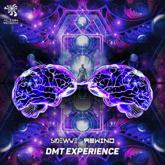 DMT Experience by Rewind