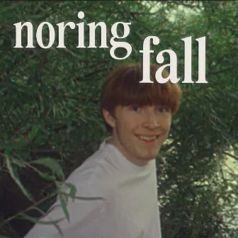 fall by noring