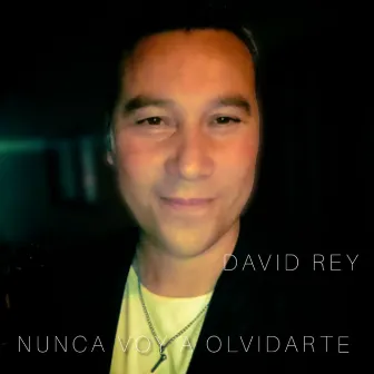 Nunca voy a olvidarte (En Vivo) by David Rey