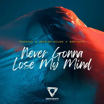 Never Gonna Lose My Mind by Puccino