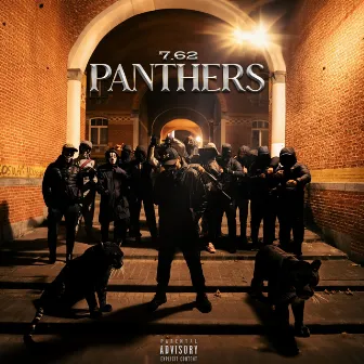 Panthers by 7.62