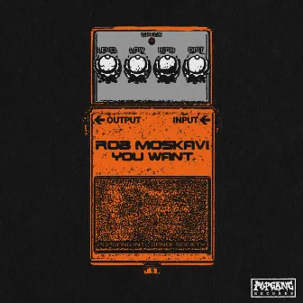 You Want by Rob Moskavi