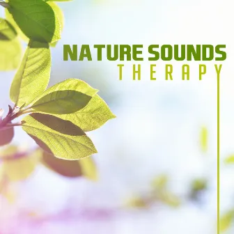 Nature Sounds Therapy – Peaceful Sounds to Rest, Healing Moments, Stress Relief, Relaxing Melodies by Pure Therapy