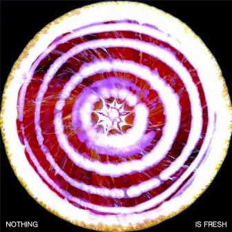 Nothing Is Fresh by Kjell Anderson