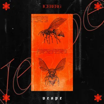 Vespe by Iceberg