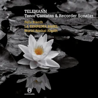 Telemann: Tenor Cantatas & Recorder Sonatas by Felix Rienth