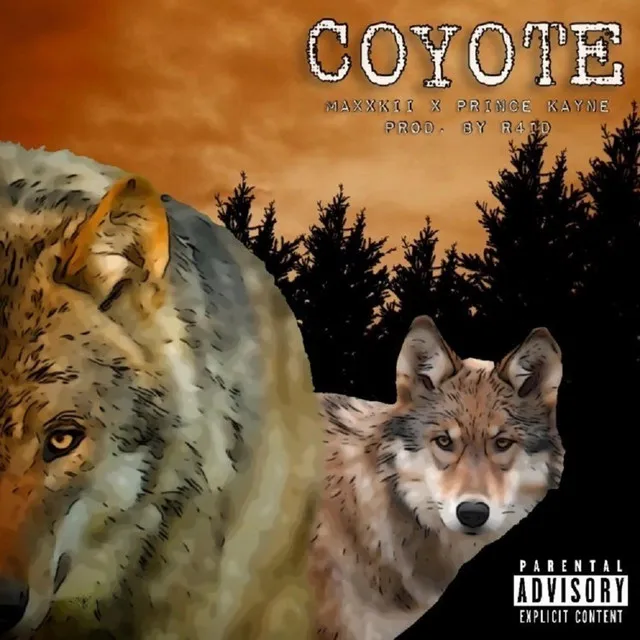 Coyote