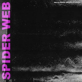 Spider Web by Clams Casino