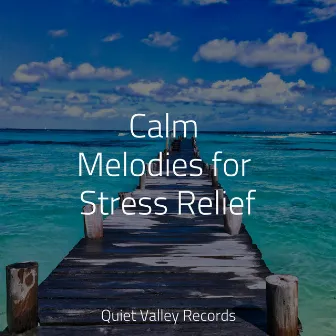 Calm Melodies for Stress Relief by The White Noise Zen & Meditation Sound Lab