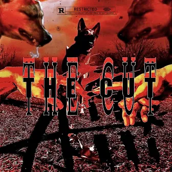 The Cut by Benji Sosa