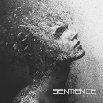 Inget by Sentience