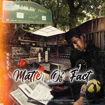 Matter of Fact by Cesar