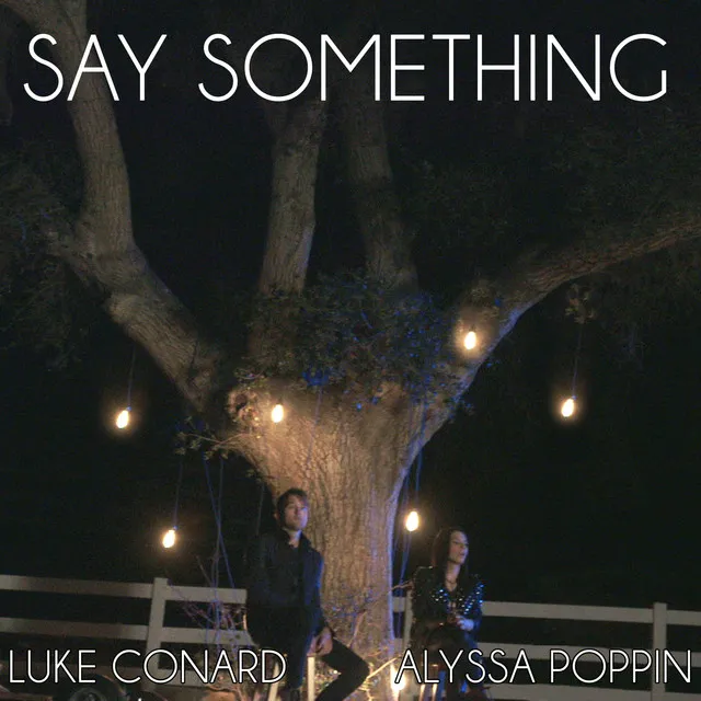 Say Something