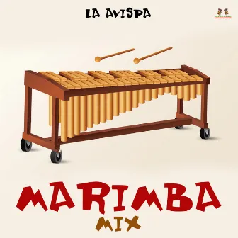 La Avispa by Marimba De Guatemala