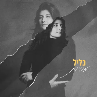 זוויות by כליל