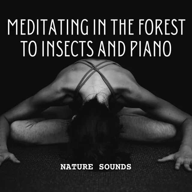 Nature Sounds: Meditating in the Forest to Insects and Piano