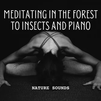 Nature Sounds: Meditating in the Forest to Insects and Piano by Natural Atmospere