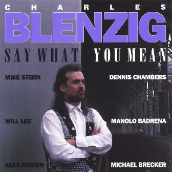 Say What You Mean by Charles Blenzig