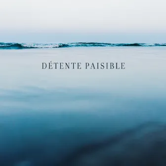 Détente paisible: Sons exotiques de la nature, Sons tropicaux apaisants de la nature by Ensemble de Musique Zen Relaxante