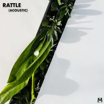 Rattle! (Acoustic) by Mass Anthem