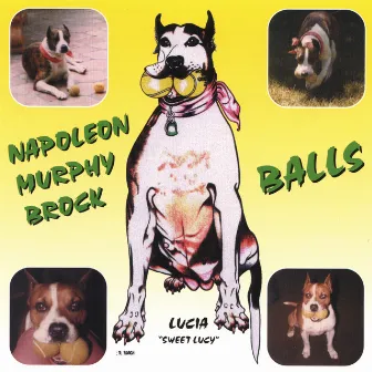 Balls by Napoleon Murphy Brock