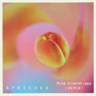 Apricosa (Mind Enterprises Remix) by Mind Enterprises