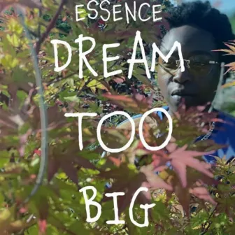 Dream Too Big by Essence