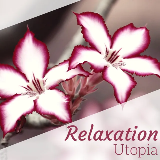 Relaxation Utopia - The Very Best Sounds of Nature to Relax