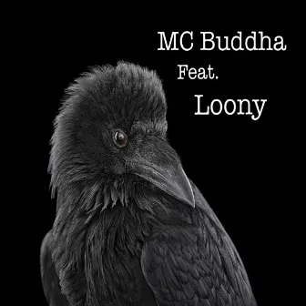 Bird (feat. Loony) by MC Buddha