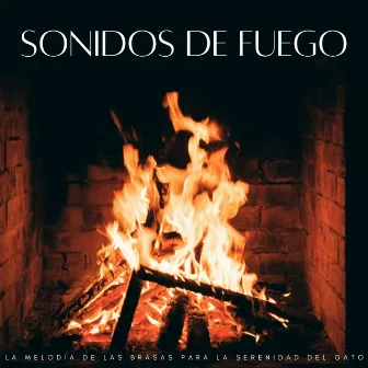 Sonidos De Fuego: La Melodía De Las Brasas Para La Serenidad Del Gato by Fuego definitivo