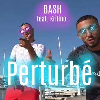 Perturbé by Bash