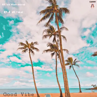 Good Vibe by Akiva Hammond