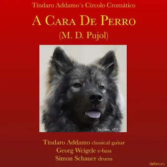 A Cara de Perro by Tindaro Addamo