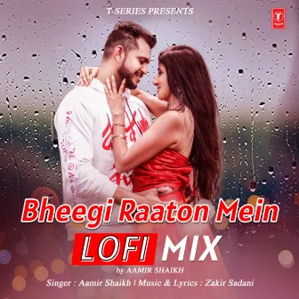 Bheegi Raaton Mein Lofi Mix by Aamir Shaikh