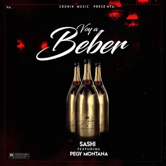 Voy a Beber - Single by Sashi