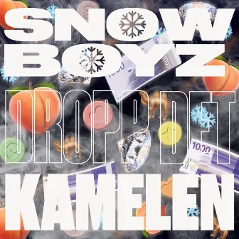 Dropp det by Snow Boyz