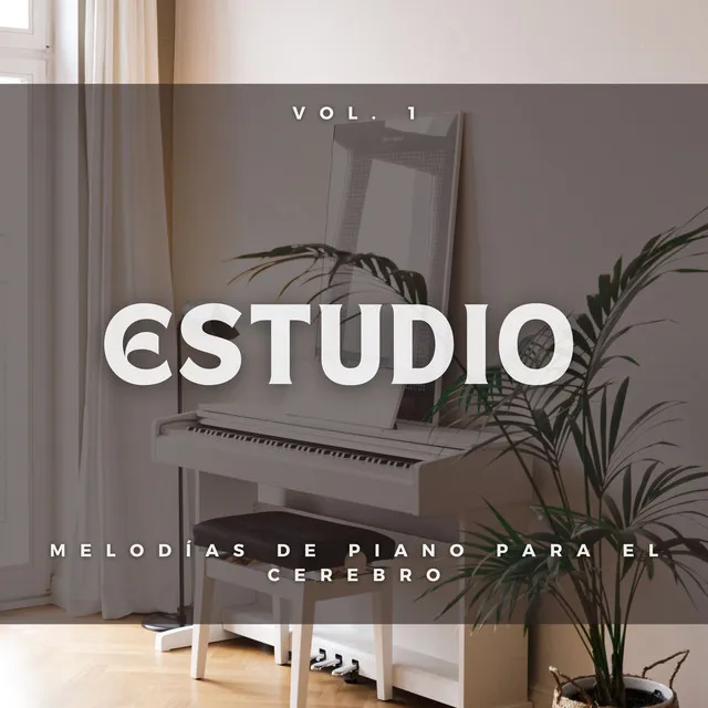 Sonidos De Piano Para Escribir