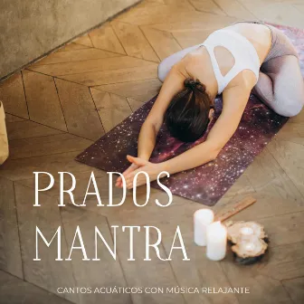 Prados Mantra: Cantos Acuáticos Con Música Relajante by Balneario de agua