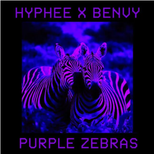 Purple Zebras