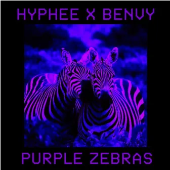 Purple Zebras by Benvy