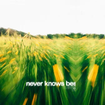 Never Knows Best by Vár Sofandi