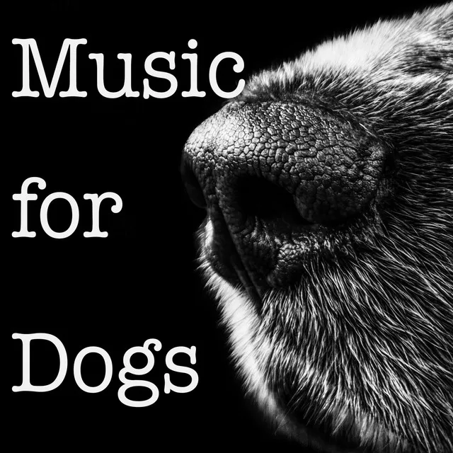 Relaxing Dog Song