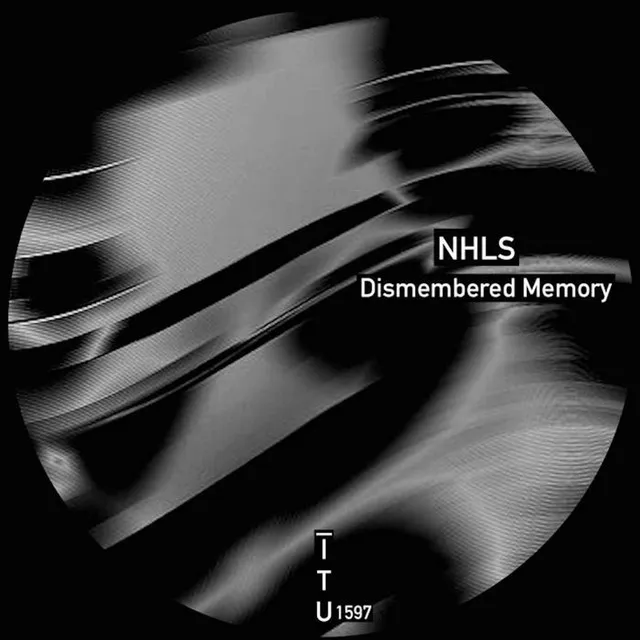 Dismembered Memory