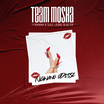 Ngwano odesse (Radio Edit) by Team Mosha