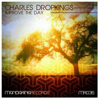 Improve the Day by Charles Dropkings